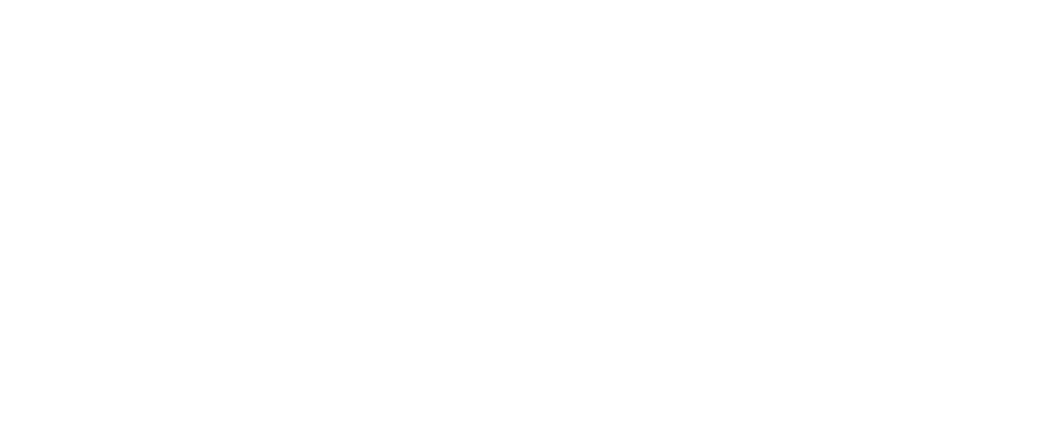 Tea And I | Premium Wellness Tea Blends & Accessories